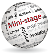 logo_ministage